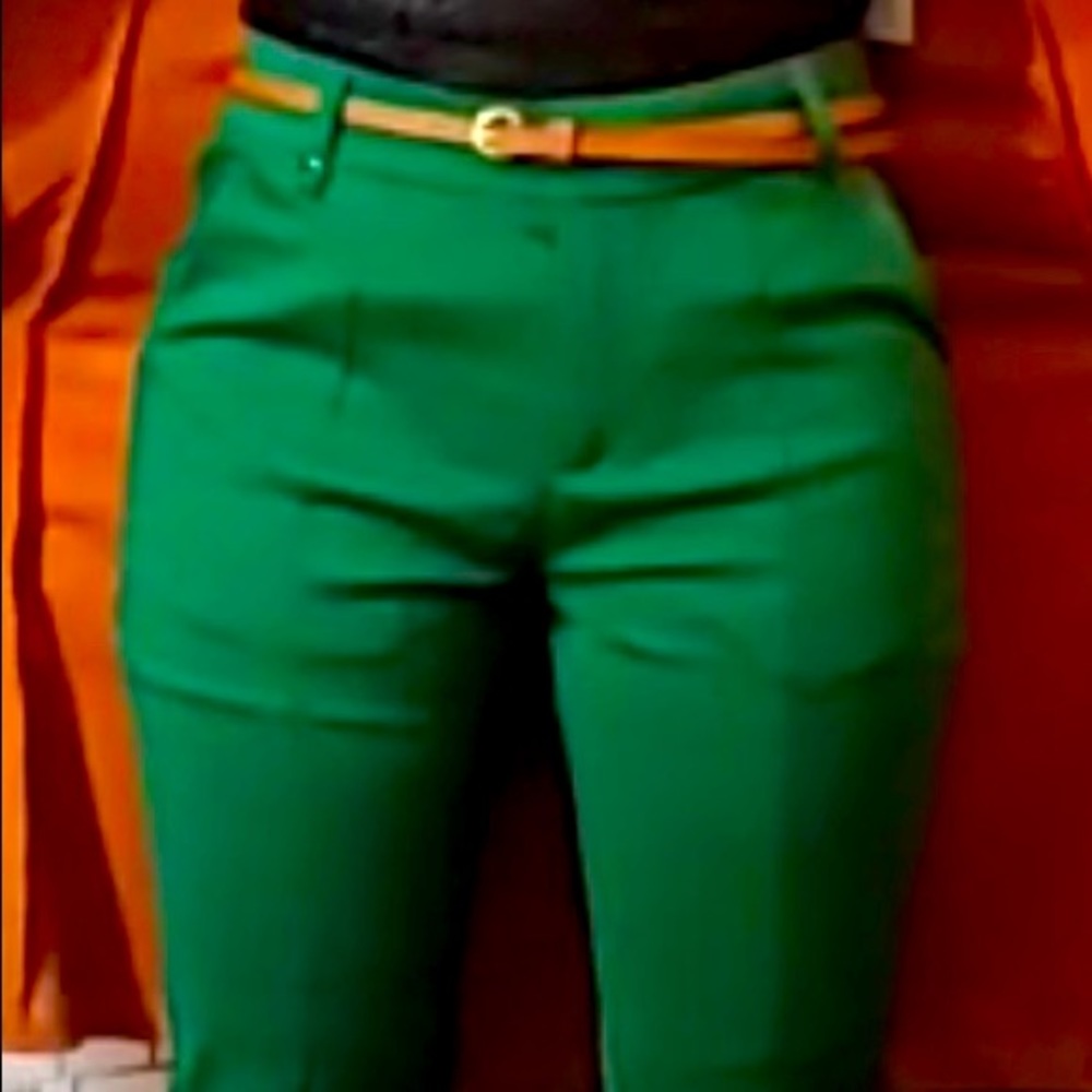 New Dress pant.